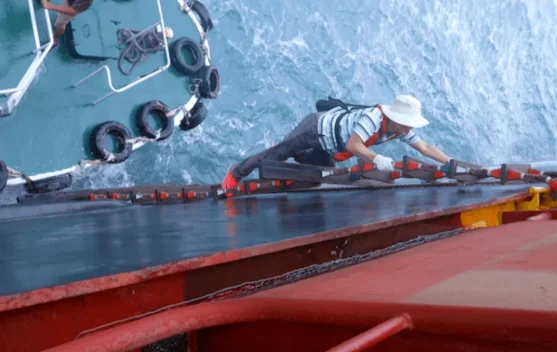 Mengapa Kehadiran Pilot Laut Begitu Vital bagi Pelayaran Dunia