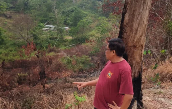 Kabut Asap Ganggu Aktivitas Warga, DPRD Kaltara Minta Penanganan Karhutla