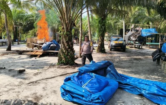 Polisi Bongkar Arena Sabung Ayam Cegah Judi Berulang