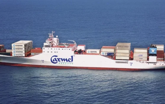 Kapal Pendingin (Reefer): Menjaga Kesegaran Komoditas Mudah Rusak