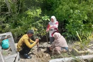 Taman Baca Pagun Taka Binusan Melakukan Penanaman Pohon di Hutan Mangrove