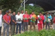 Bupati Dorong Petani Selisun Maksimalkan Lahan Hortikultura