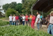 Bupati Nunukan Panen Perdana Semangka dan Jagung Bersama Petani