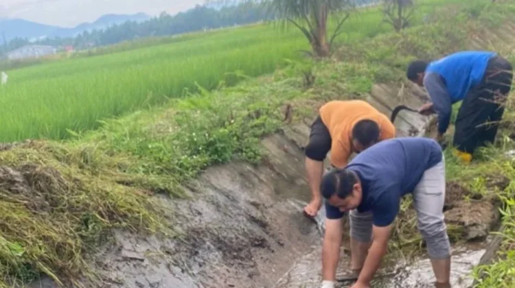 Sinergi ASN dan Warga: Pemko Pariaman Gelar Goro Massal