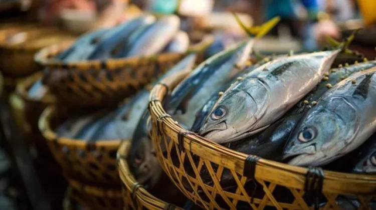 Peran Nelayan Penting, Ikan Jadi Sumber Gizi bagi Masyarakat