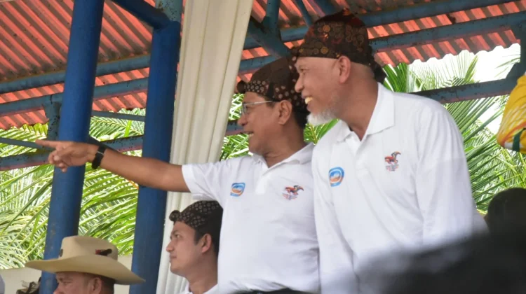 Gubernur Mahyeldi Buka Helat Pacu Kudo 2026 di Padang Pariaman