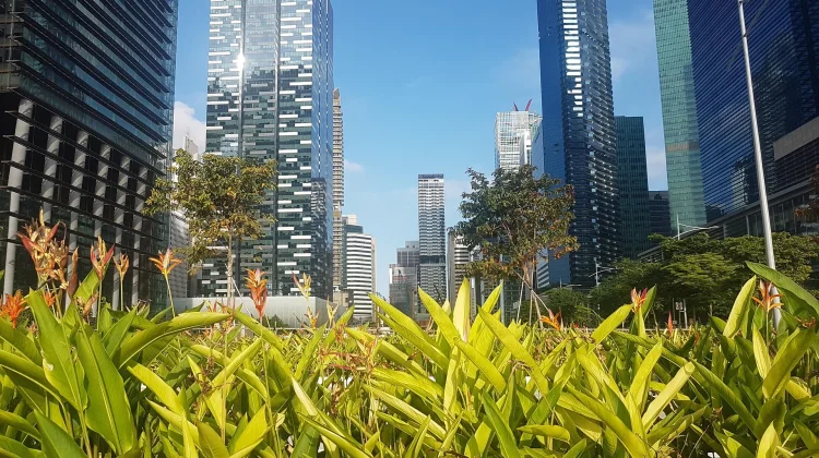 Taman Kota, Oase Hijau yang Menghidupkan Wajah Perkotaan