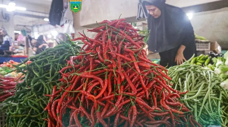 Harga Cabai Merah Turun di Padang Panjang