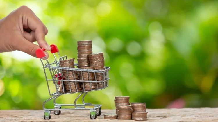 Strategi Mendapatkan Barang Favorit dengan Harga Terjangkau