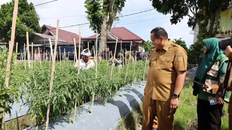Pemko Pariaman Berkomitmen Hidupkan Lahan Tidur jadi Produktif