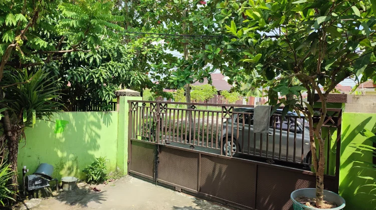 Manfaat Pepohonan di Sekitar Rumah