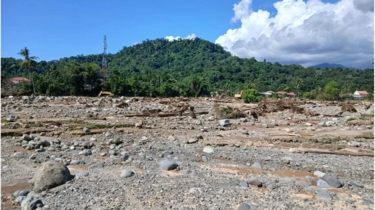 Ahli Pertanian Unand: Deforestasi Mengancam Lingkungan dan Pangan