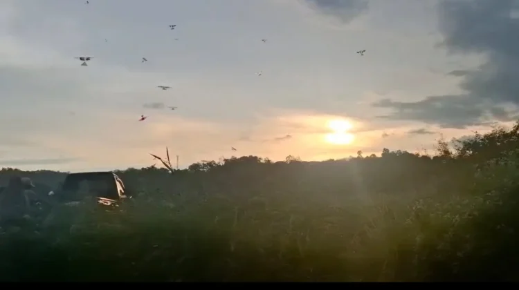 Bermain Layang Layang Olah Raga atau Hobi