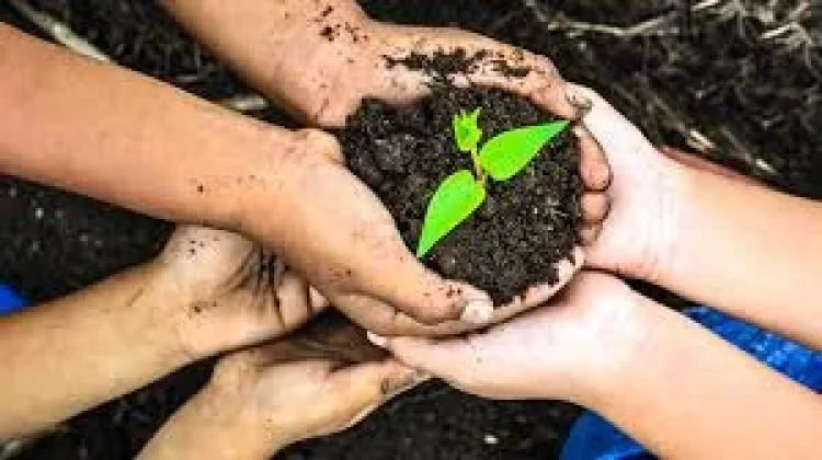 Kolaborasi Pemuda Jadi Kunci Pelestarian Alam di Era Modern