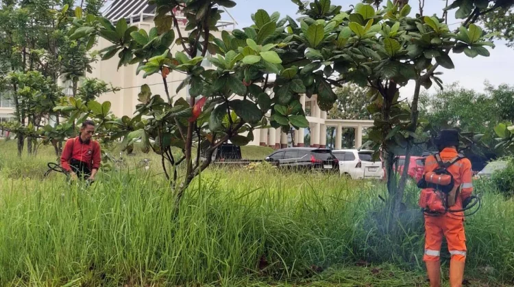 DLH Padang Intensifkan Penataan Lingkungan Balai Kota