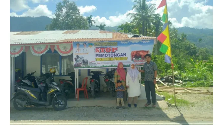 Masyarakat di Solok Selatan Diingatkan Tidak Memotong Hewan Ternak Betina