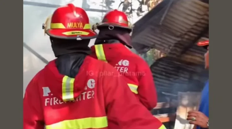Kandang Sapi di Padang Terbakar, Kerugian Diperkirakaan Rp80 Juta