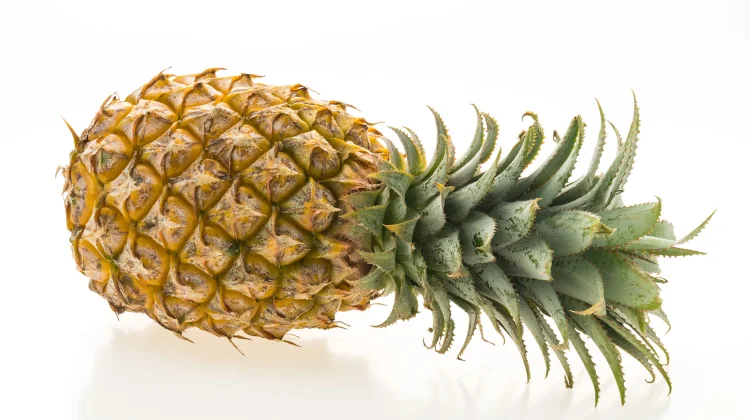 Mengenal Fakta Nanas, Buah Tropis Kaya Manfaat yang Mendunia