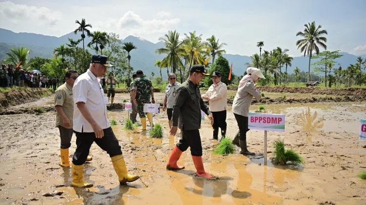 Kemendagri Apresiasi Progres Rehabilitasi Lahan Terdampak Bencana Sumbar