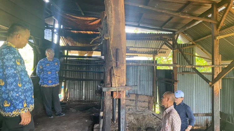 Pantau Produksi Gambir, Plt. Kadis Pertanian Pessel Tinjau Rumah Kempa di Sutera