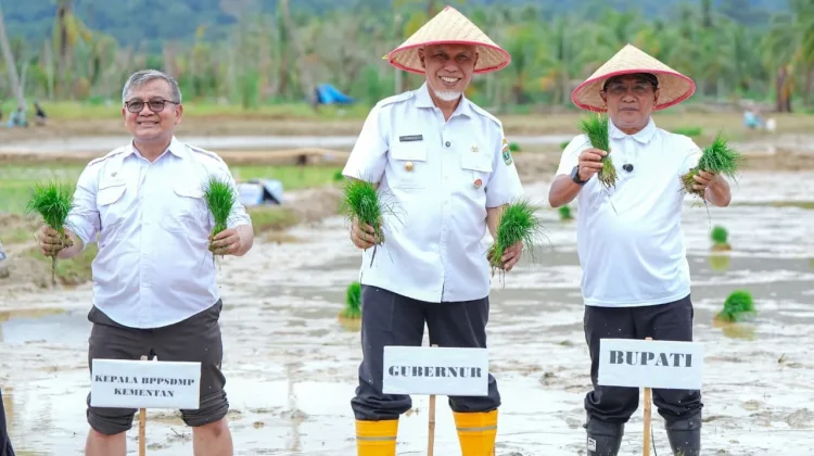 Rehabilitasi Lahan Rusak Ringan dan Sedang di Sumbar Tuntas