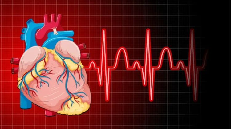 Mengenal Teknologi Canggih Penjaga Detak Jantung