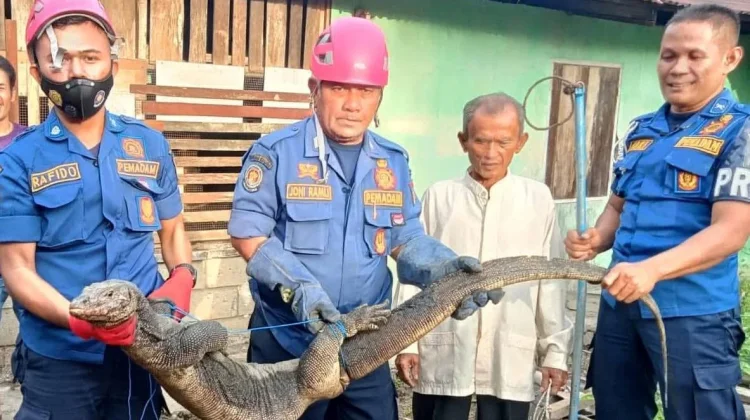 Damkar Padang Lakukan Ratusan Aksi Penyelamatan nonkebakaran