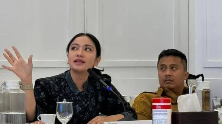 Bupati Dharmasraya Audiensi di Bappenas RI Usulkan PSN dan Feeder Tol Dharmasraya