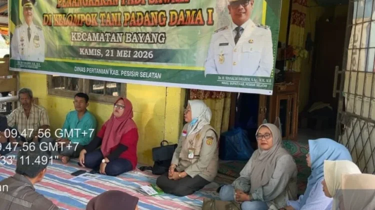 Pesisir Selatan Gelar Bintek Penangkaran Benih Padi Bersertifikat