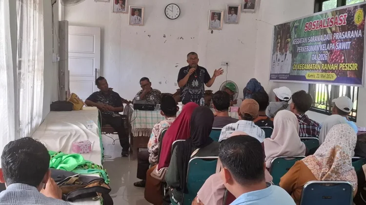 Pemkab Pessel Dorong Penggunaan Bibit Sawit Bersertifikat pada Kebun Rakyat