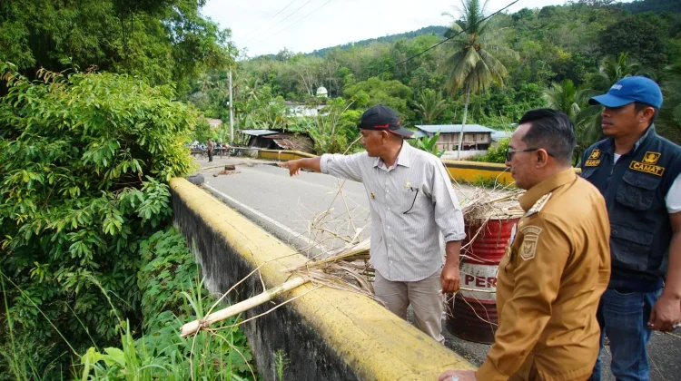 Bupati Eka Putra Tinjau Jembatan Titian Putiah yang Rusak akibat Banjir