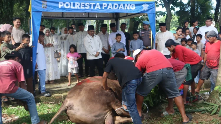 Polresta Padang Gelar Pemotongan Hewan Kurban Iduladha 1447 H