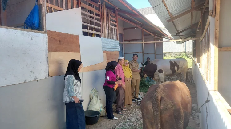 Warga Huntara di Padang Terima Bantuan Sapi Kurban