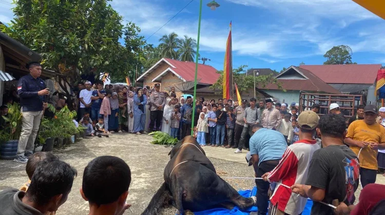 Warga Pasbar Antusias Saksikan Penyembelihan Hewan Kurban Bantuan Presiden