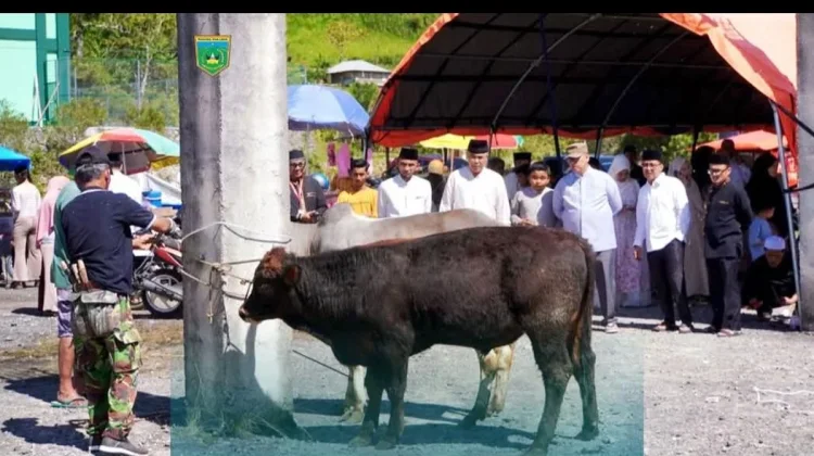 Panitia Kurban Potong Sembilan ekor Sapi di Islamic Centre Padang Panjang