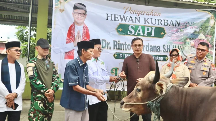 Bupati Mentawai Serahkan Bantuan Sapi Kurban ke Masjid Al-Furqon Sikakap
