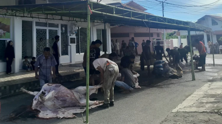 Penyembelihan Hewan Kurban Perhatikan Sanitasi dan Ramah Lingkungan