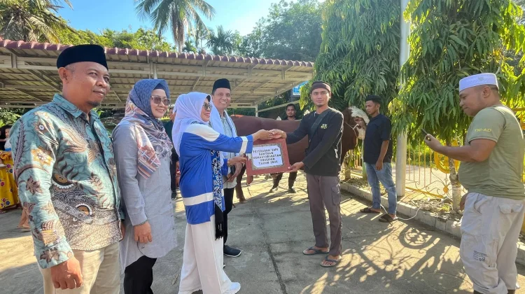 Wabup Leli Arni Serahkan Sapi Kurban Bantuan Presiden di Dharmasraya
