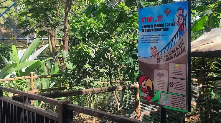 Etika Mengunjungi Kebun Binatang