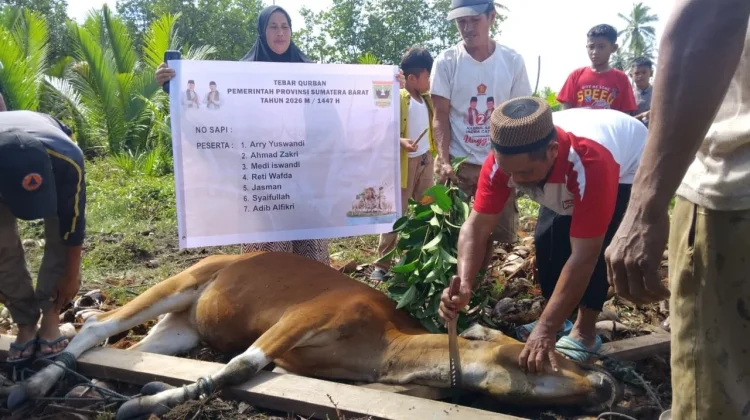 Suasana Kurban di Mentawai Penuh Toleransi Beragama
