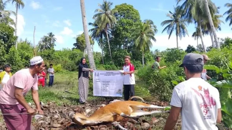 Pemprov Sumbar Pastikan Tebar Qurban di Mentawai Tepat Sasaran