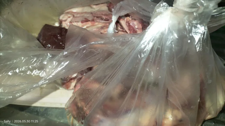 DLH Padang Soroti Tingginya Penggunaan Plastik Sekali Pakai pada Idul Adha 1447 H