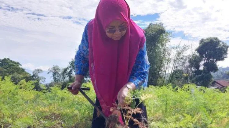 Tinjau Persiapan Lomba PKK Sumbar, Nagari Sungai Pua Maksimalkan Potensi