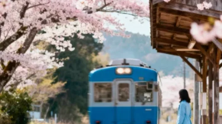 Fakta Unik Aturan Kereta di Jepang