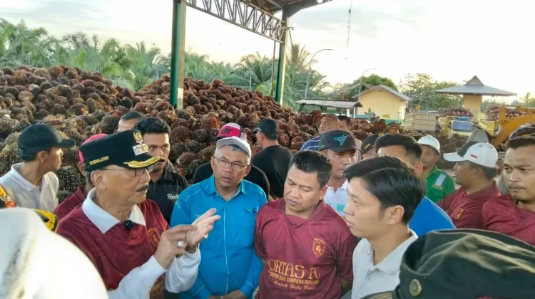 Bupati Pesisir Selatan Sidak Pabrik Sawit di Basa Ampek Balai