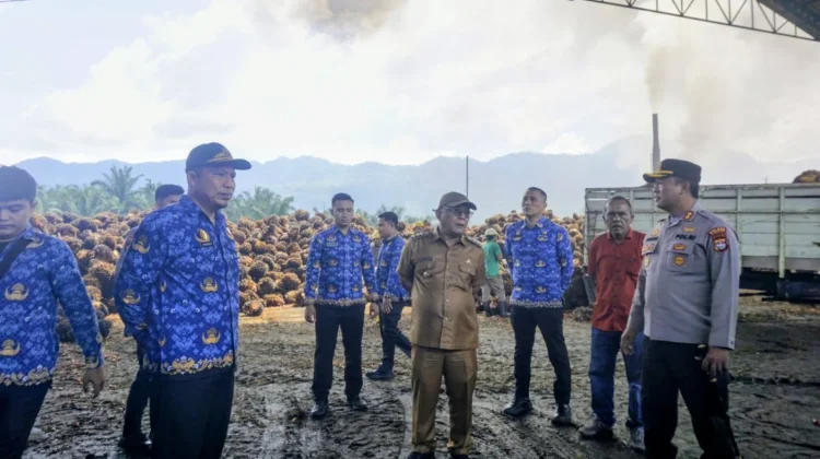 Bupati Pasaman Barat Larang Perusahaan Turunkan Harga TBS Sawit Secara Sepihak