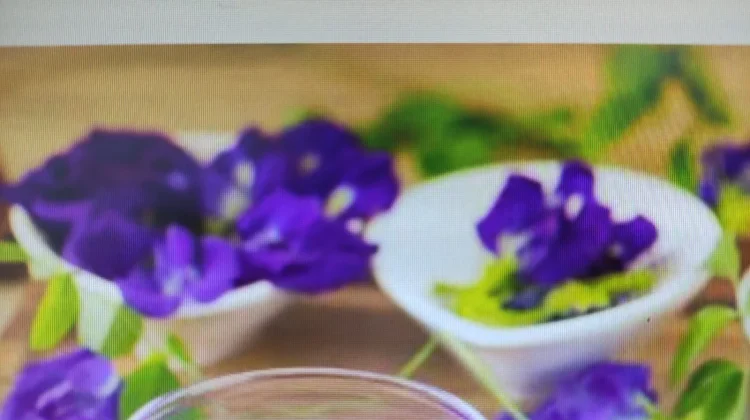 Seduahn Bunga Telang, Minuman Herbal dengan Beragam Manfaat Kesehatan