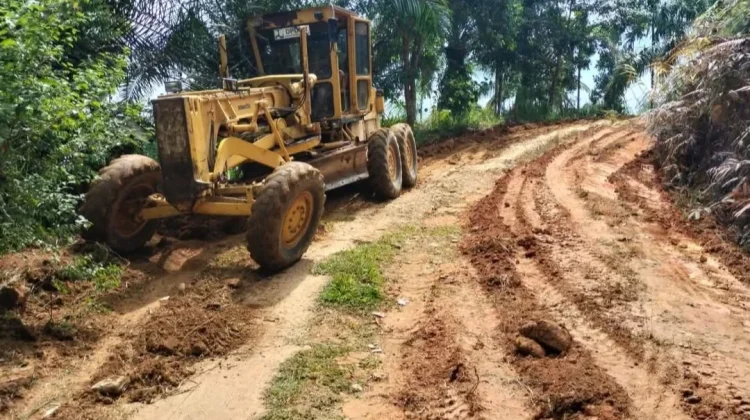 Pemkab Pasaman Barat Mulai Buka Akses Terisolasi Rura Patontang