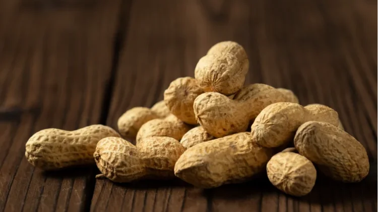 Alasan mengapa Menu Kacang dilarang Keras bagi  Para Astronot