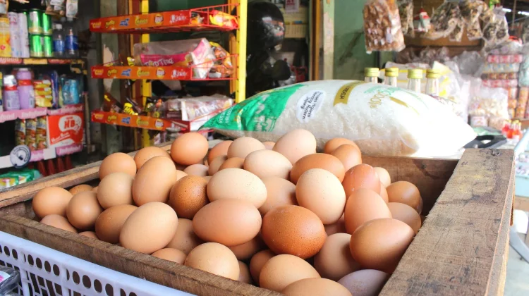 Murah dan Bergizi, Telur Jadi Andalan Keluarga